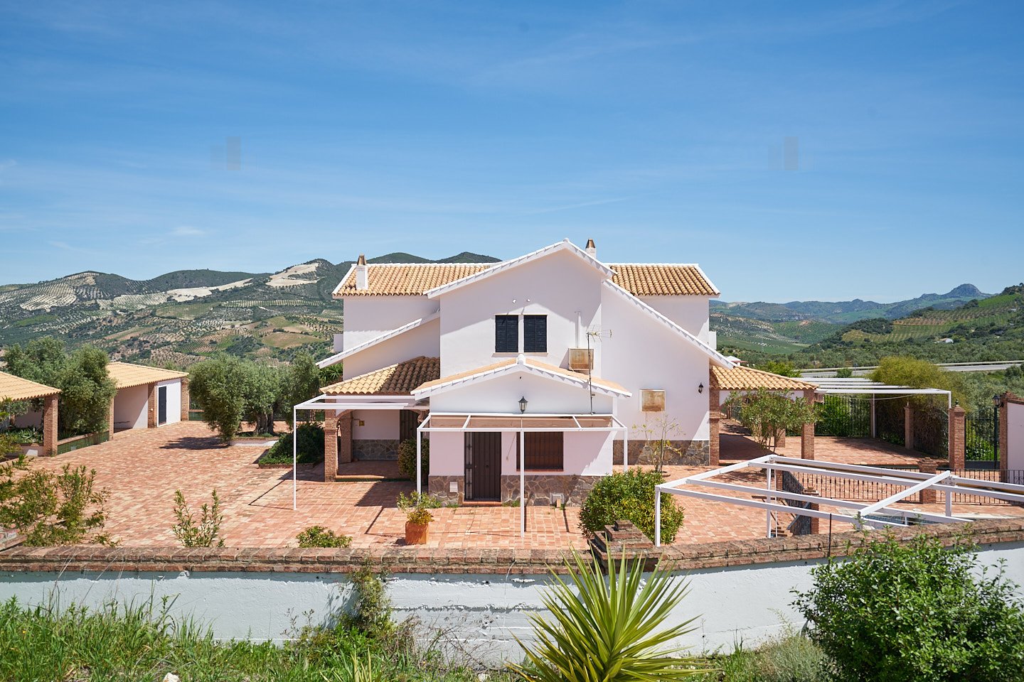 Olvera: Andalucia, provincia de Cadiz, Olvera, finca con piscina y olivos en venta Olvera: Andalucia, provincia de Cadiz, Olvera, finca con piscina y olivos en venta