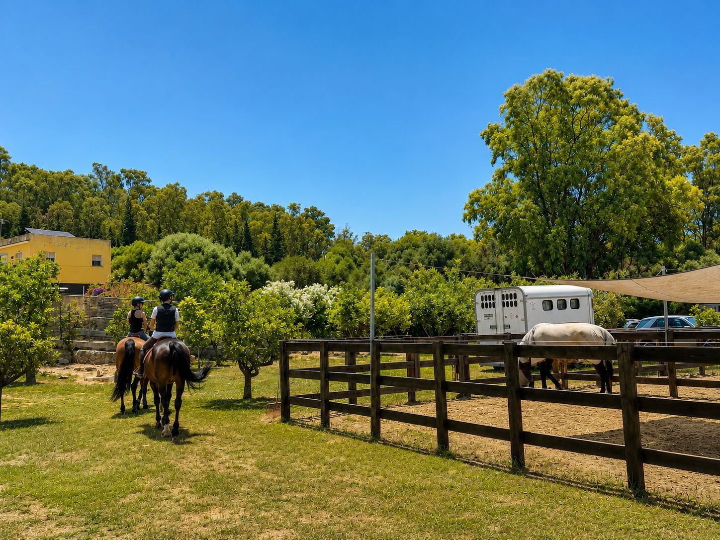 2616SK Andalucía, Sotogrande, picadero, centro ecuestre en venta