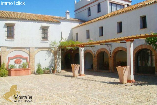 Hotel rural Carmona Sevilla Andalucia en venta - el patio