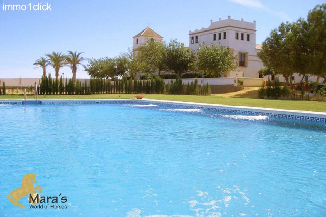 Hotel Cortijo Sevilla Andalucia se vende - jardin y piscina