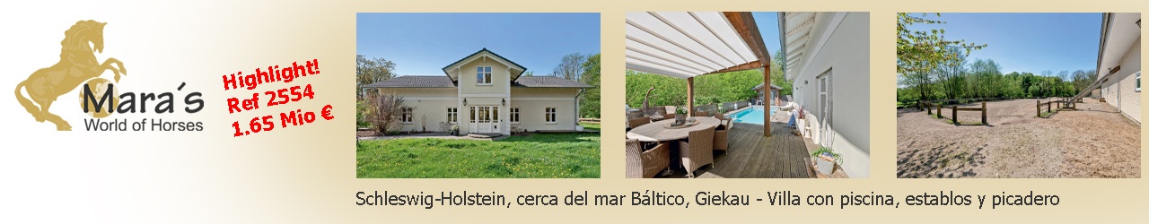 Maras World Solutions S.L.