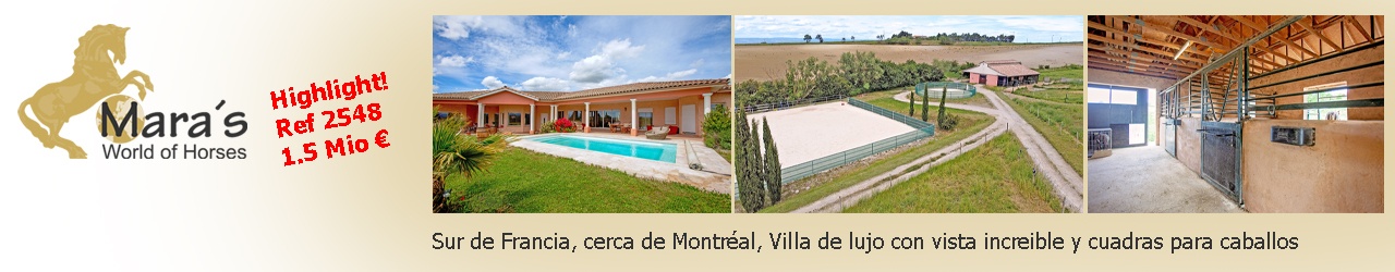 Maras World Solutions S.L.